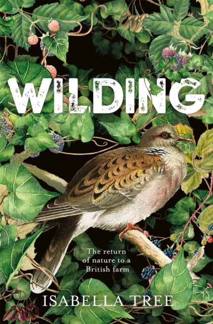 Wilding - The Return of Nature to a British Farm