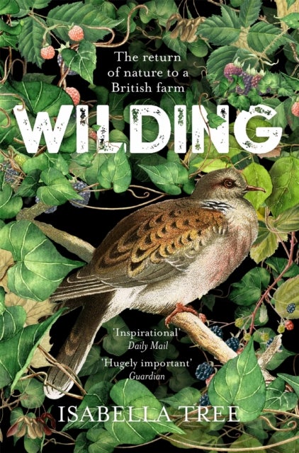 Wilding - The Return of Nature to a British Farm