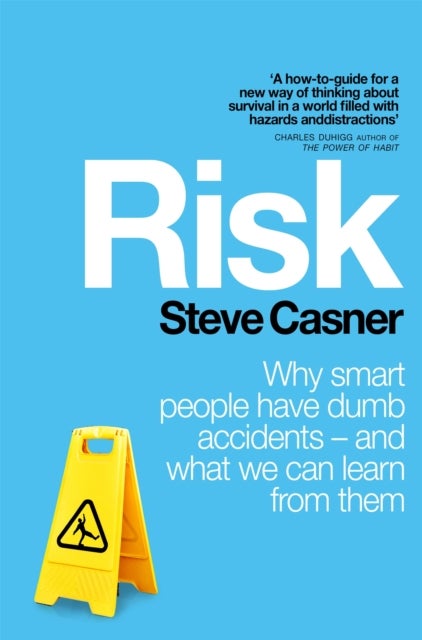 Risk - Why Smart People Have Dumb Accidents - And What We Can Learn From Them