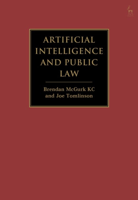 Artificial Intelligence and Public Law