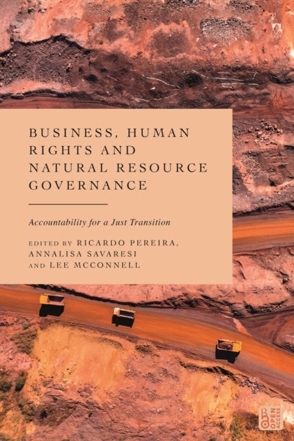Business, Human Rights and Natural Resource Governance - Accountability for a Just Transition