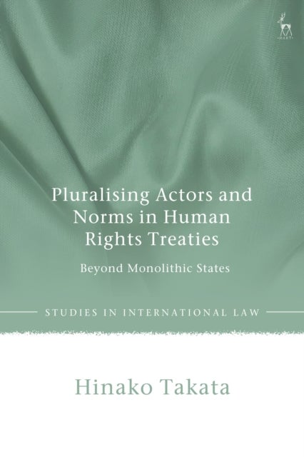 Pluralising Actors and Norms in Human Rights Treaties - Beyond Monolithic States