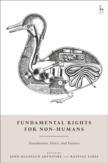 Fundamental Rights for Non-Humans - Foundations, Flaws, and Futures