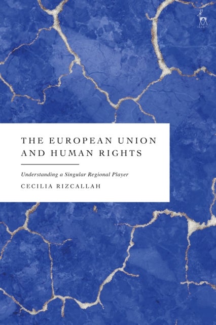 The European Union and Human Rights - Understanding a Singular Regional Player