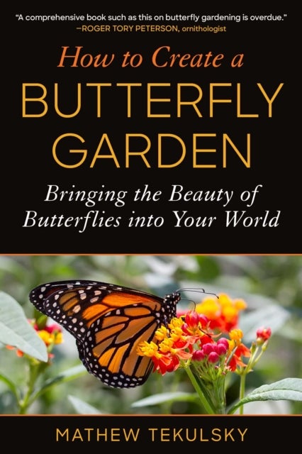 How to Create a Butterfly Garden - Bringing the Beauty of Butterflies into Your World