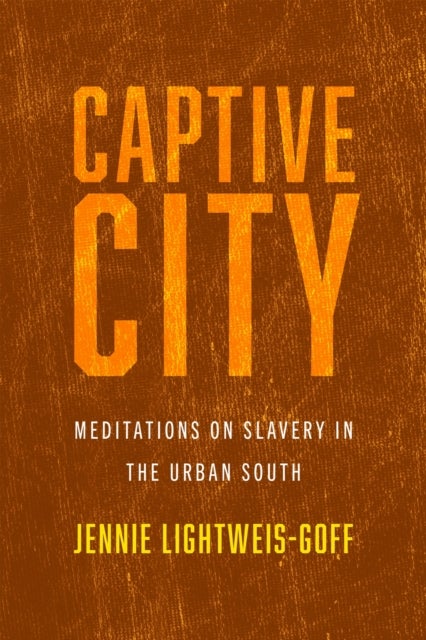 Captive City - Meditations on Slavery in the Urban South