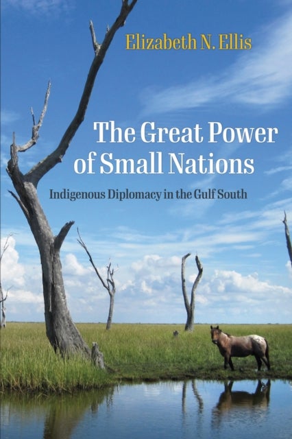 The Great Power of Small Nations - Indigenous Diplomacy in the Gulf South