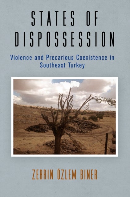 States of Dispossession - Violence and Precarious Coexistence in Southeast Turkey