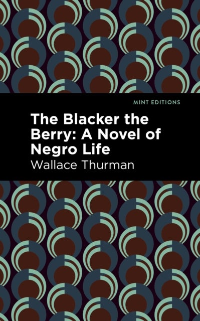 The Blacker the Berry - A Novel of Negro Life