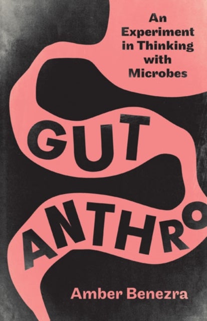 Gut Anthro - An Experiment in Thinking with Microbes