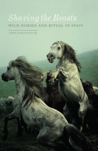 Shaving the Beasts - Wild Horses and Ritual in Spain
