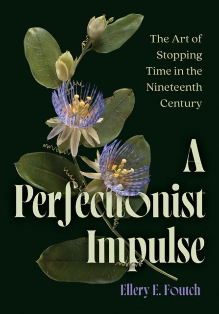 A Perfectionist Impulse - The Art of Stopping Time in the Nineteenth Century