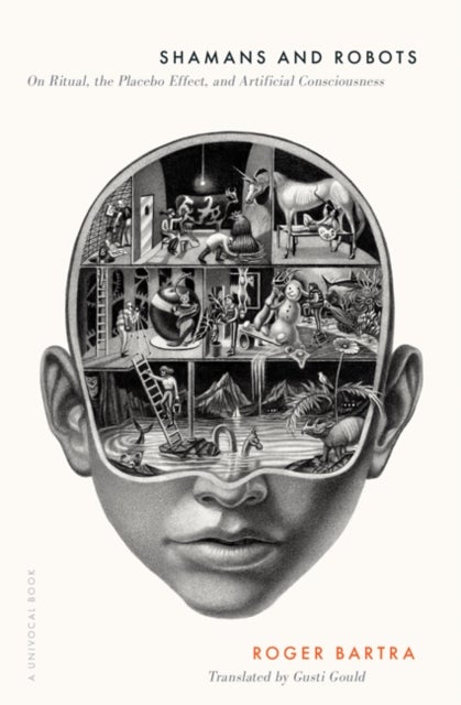 Shamans and Robots - On Ritual, the Placebo Effect, and Artificial Consciousness
