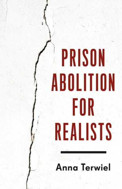 Prison Abolition for Realists