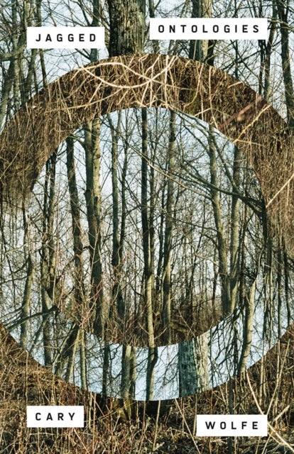 Jagged Ontologies Volume 81 - Volume 81