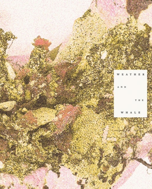 Weather and the Whale