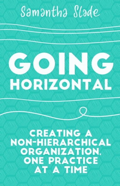 Going Horizontal - Creating a Non-Hierarchical Organization, One Practice at a Time