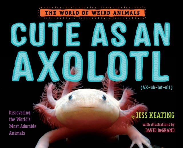 Cute as an Axolotl - Discovering the World's Most Adorable Animals