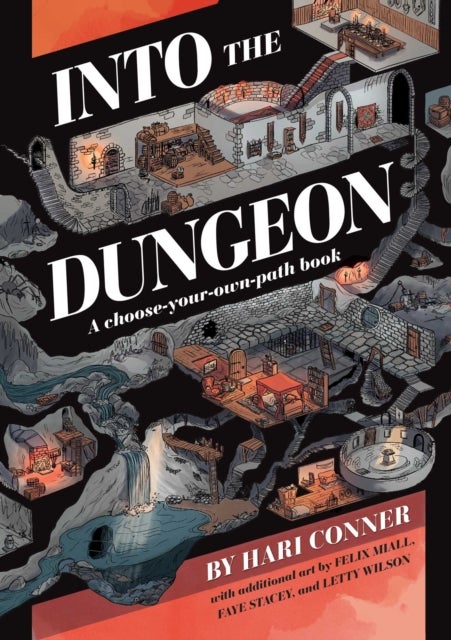 Into the Dungeon - A Choose-Your-Own-Path Book