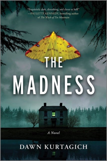 The Madness - A Novel