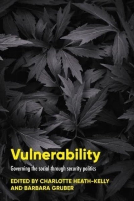 Vulnerability - Governing the Social Through Security Politics