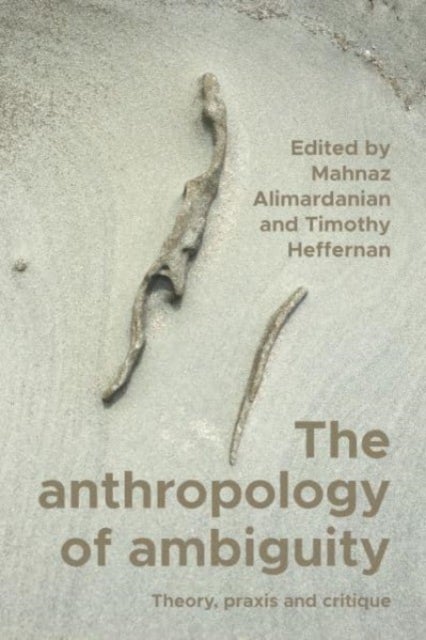 The Anthropology of Ambiguity - Theory, Praxis and Critique