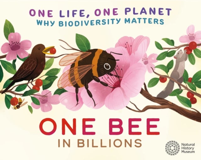 One Life, One Planet: One Bee in Billions - Why Biodiversity Matters