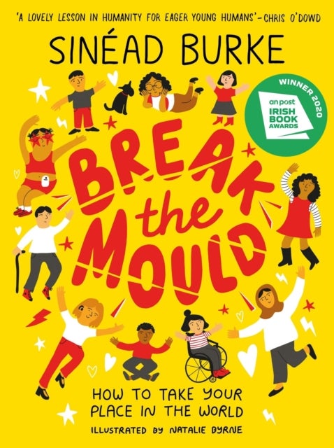 Break the Mould - How to Take Your Place in the World - WINNER OF THE AN POST IRISH BOOK AWARDS
