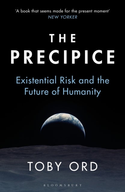 The Precipice - ‘A book that seems made for the present moment’ New Yorker