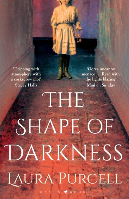 The Shape of Darkness - 'A future gothic classic' Martyn Waites