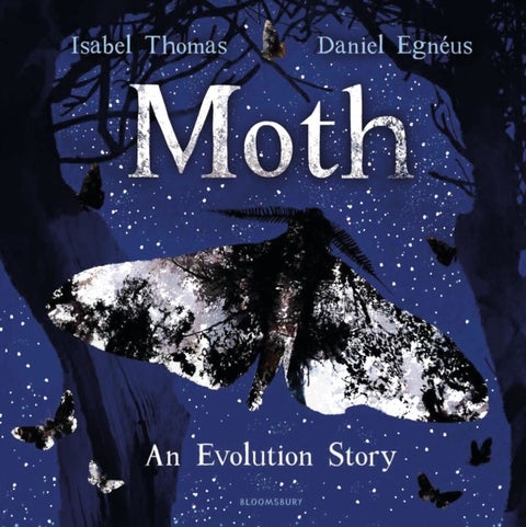 Moth - An Evolution Story