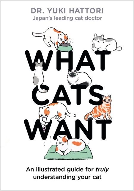 What Cats Want - An Illustrated Guide for Truly Understanding Your Cat