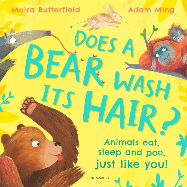 Does a Bear Wash its Hair? - Animals eat, sleep and poo, just like you!