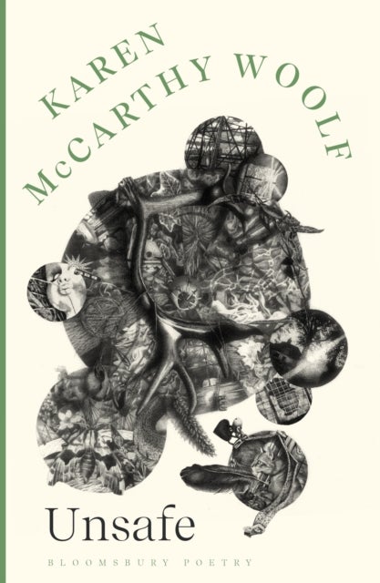 Unsafe - A Poetry Book Society Choice