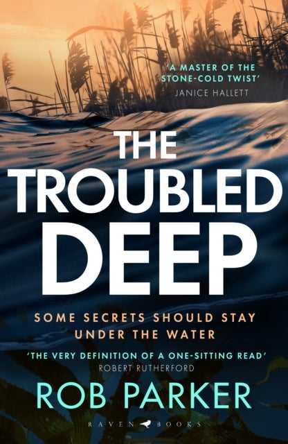 The Troubled Deep - 'The most brilliant Norfolk-set thriller since Elly Griffiths' Ruth Galloway books' Daily Mirror