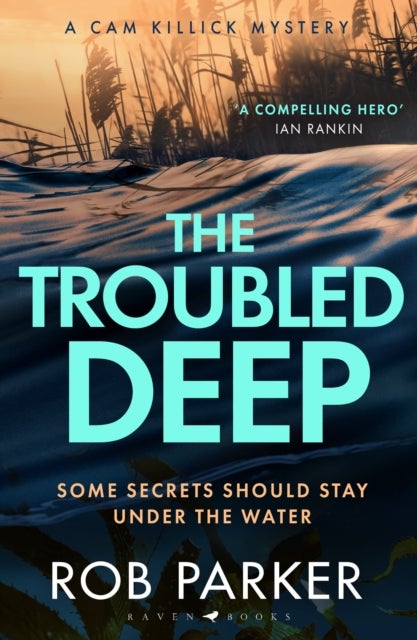 The Troubled Deep - 'The most brilliant Norfolk-set thriller since Elly Griffiths' Ruth Galloway books' Daily Mirror