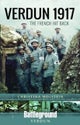 Verdun 1917
