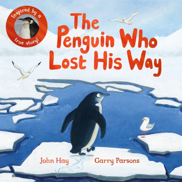 The Penguin Who Lost His Way - Inspired by a True Story
