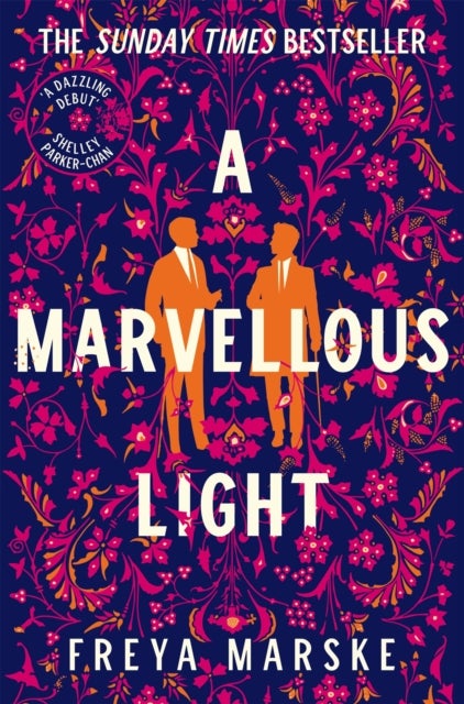 A Marvellous Light - A dazzling, queer romantic fantasy