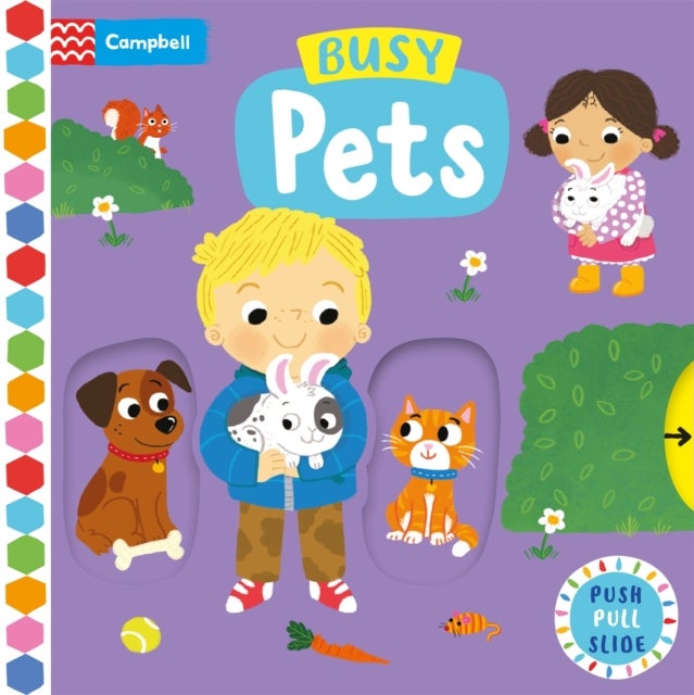 Busy Pets - A Push, Pull, Slide Book