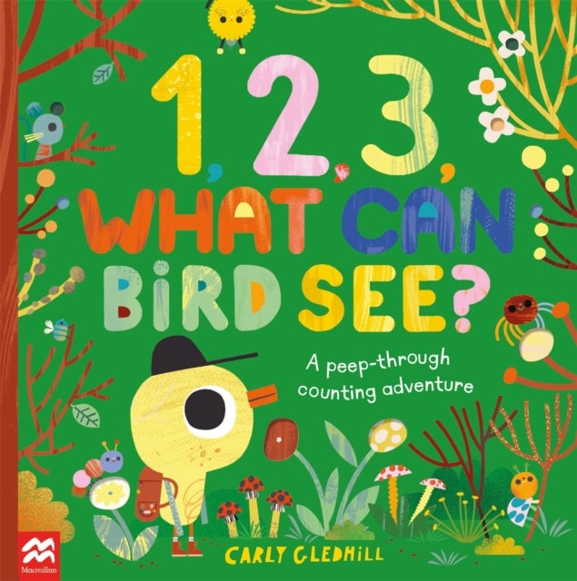 1, 2, 3, What Can Bird See? - A peep-through counting adventure