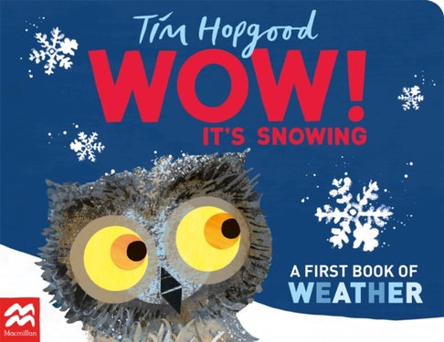 WOW! It's Snowing - A First Book of Weather