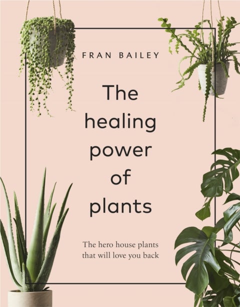 The Healing Power of Plants - The Hero House Plants that Love You Back