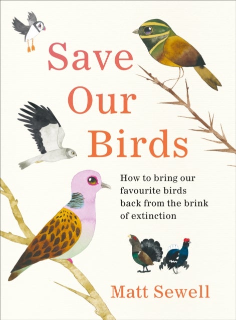Save Our Birds - How to bring our favourite birds back from the brink of extinction