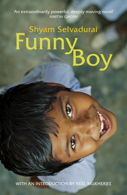 Funny Boy - A Novel in Six Stories