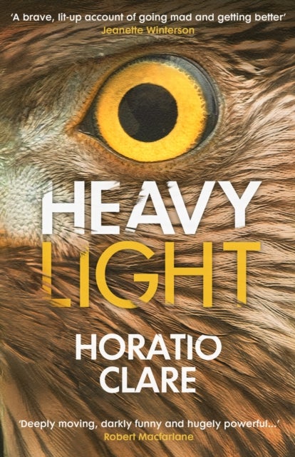 Heavy Light - A Journey Through Madness, Mania and Healing