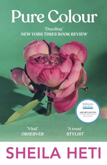 Pure Colour - the new novel from the author of Motherhood and How Should A Person Be?