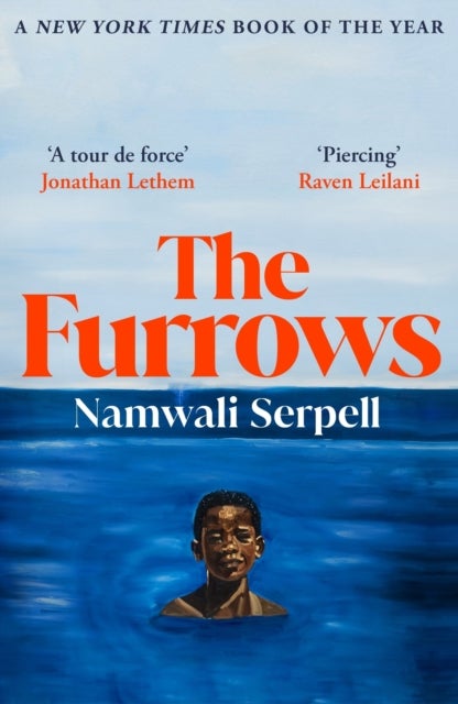 The Furrows - From the Prize-winning author of The Old Drift