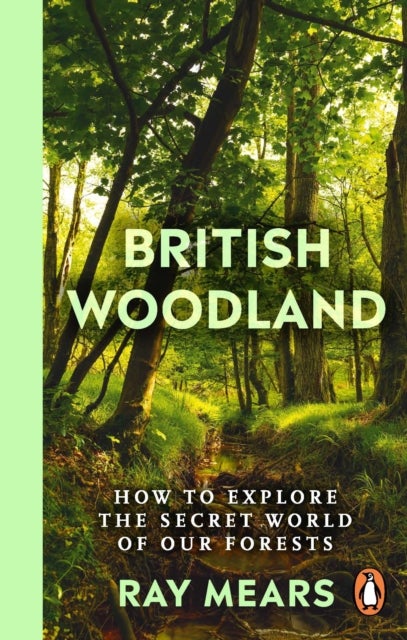 British Woodland - How to explore the secret world of our forests