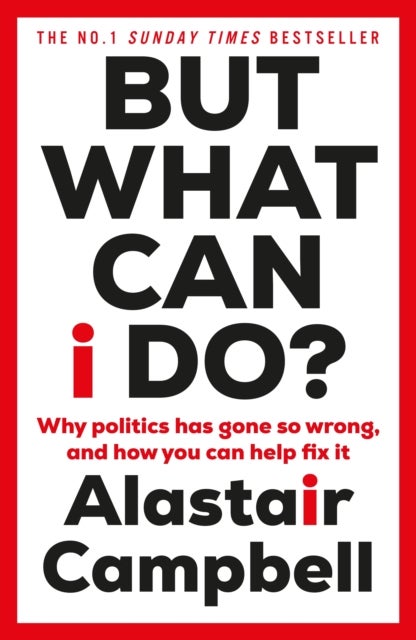 But What Can I Do? - Why Politics Has Gone So Wrong, and How You Can Help Fix It